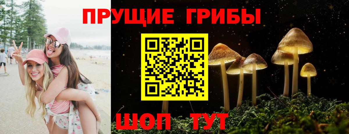 Псилоцибиновые грибы GOLDEN TEACHER Краснокамск